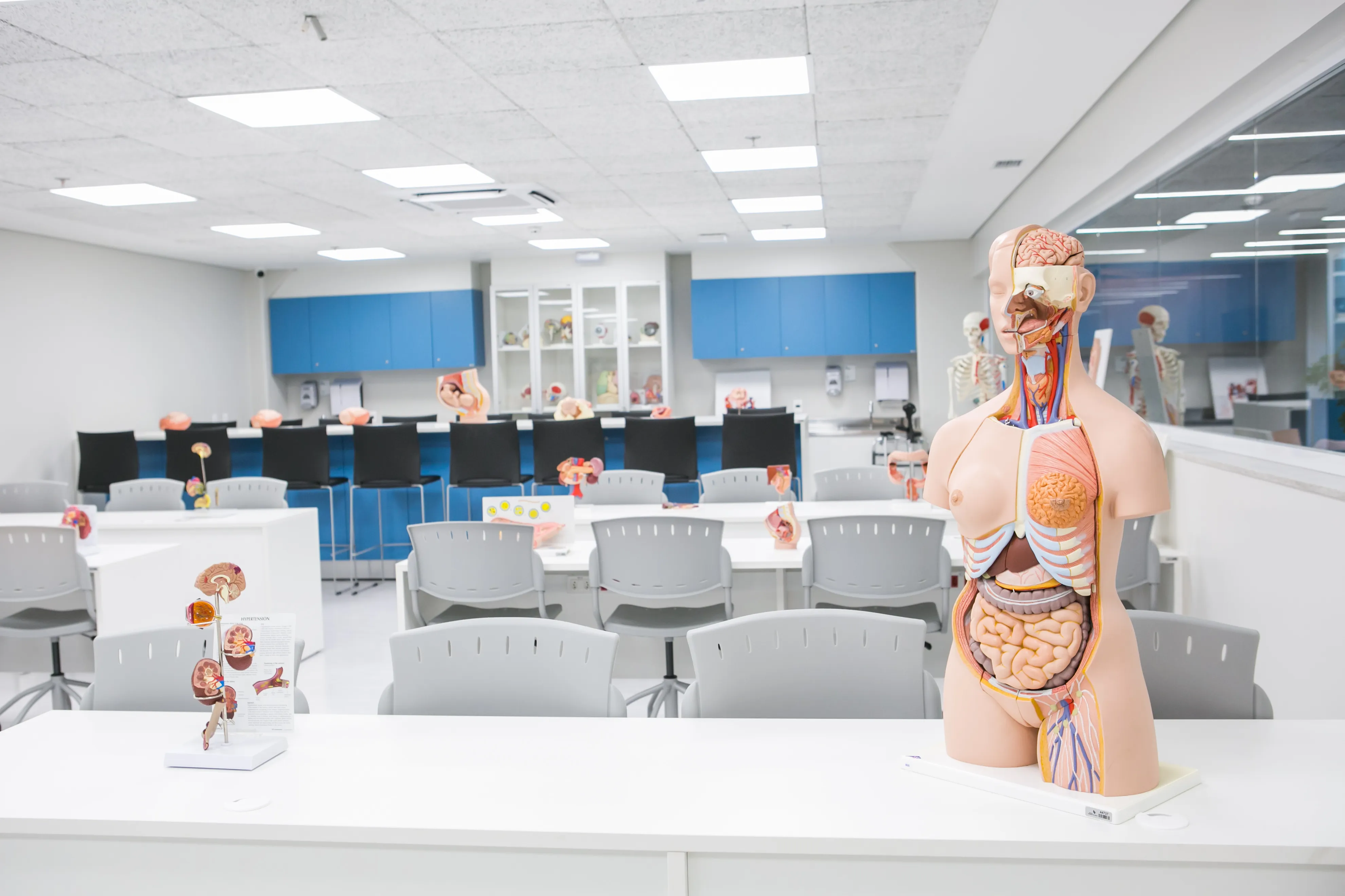 Faculdade de Ciências da Saúde Moinhos de Vento